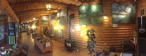 inside a nature center with a fur touch-table and murals of the woods