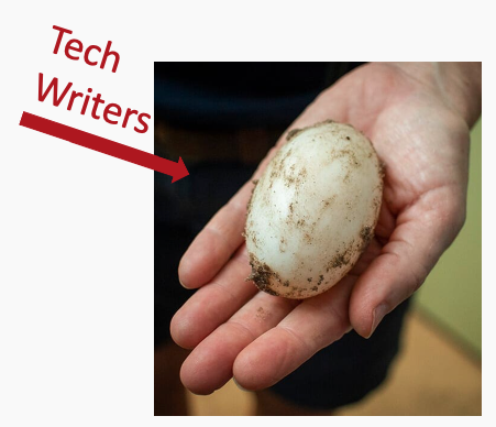 Photo of a hand holding an egg with text "Tech writer" and arrow pointing to the egg