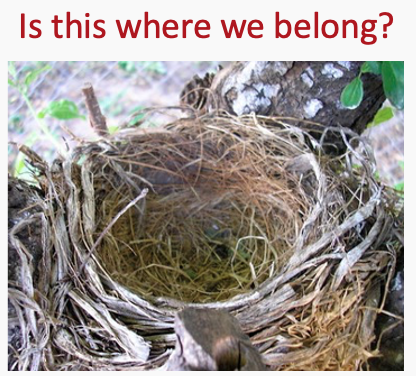 photo of empty nest with caption, "Is this where we belong?"